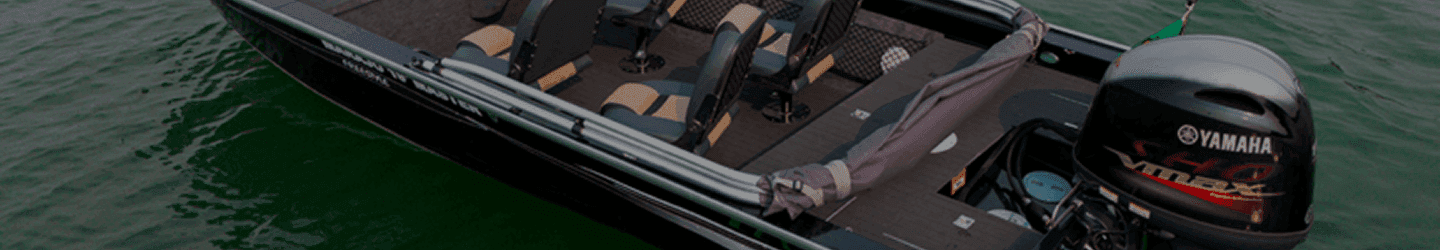 Banner Institucional