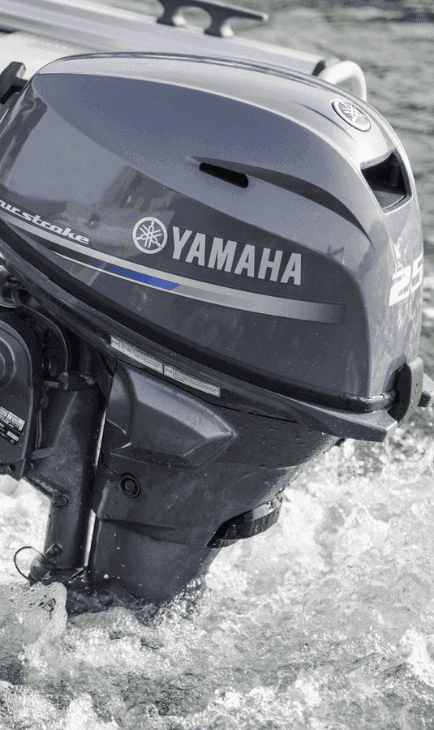 Injeção eletrônica de combustível