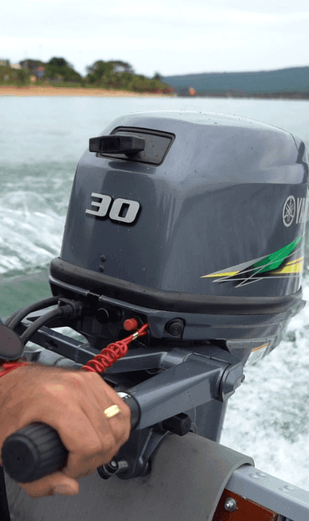 Naturalmente tropicalizado