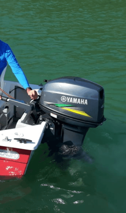 Naturalmente tropicalizado