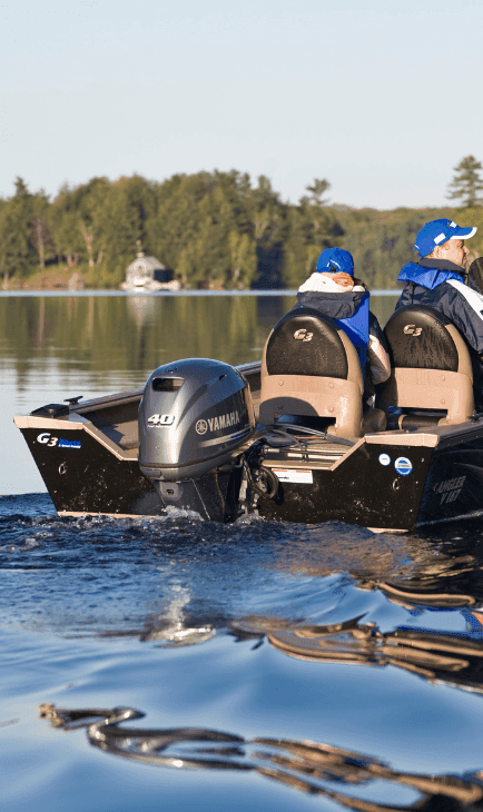 Opção com manche ou comando a distancia