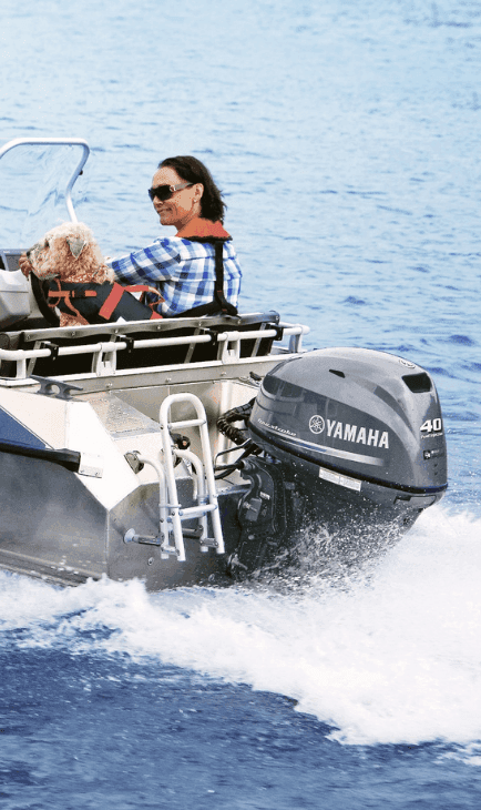 Injeção eletrônica de combustível multiponto