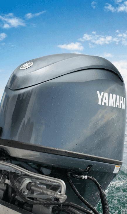 Potência sem abrir mão da economia